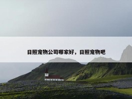 日照宠物公司哪家好，日照宠物吧