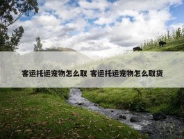 客运托运宠物怎么取 客运托运宠物怎么取货