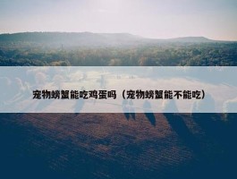 宠物螃蟹能吃鸡蛋吗（宠物螃蟹能不能吃）