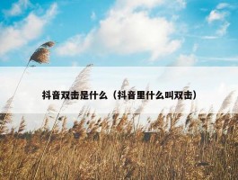 抖音双击是什么（抖音里什么叫双击）