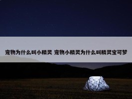 宠物为什么叫小精灵 宠物小精灵为什么叫精灵宝可梦