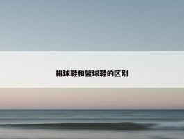 排球鞋和篮球鞋的区别