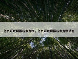 怎么可以屏蔽玩家宠物，怎么可以屏蔽玩家宠物消息