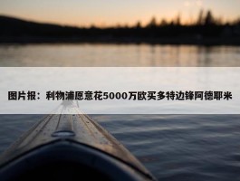 图片报：利物浦愿意花5000万欧买多特边锋阿德耶米