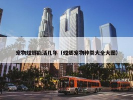 宠物螳螂能活几年（螳螂宠物种类大全大图）