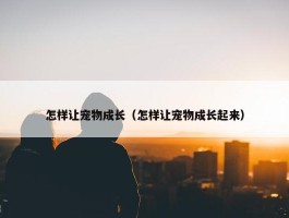 怎样让宠物成长（怎样让宠物成长起来）