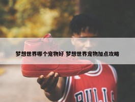 梦想世界哪个宠物好 梦想世界宠物加点攻略