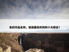 鱼的作品名称，智商最高的狗狗十大排名？