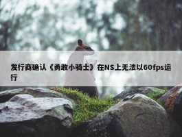 发行商确认《勇敢小骑士》在NS上无法以60fps运行