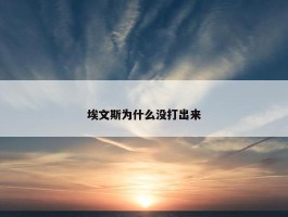 埃文斯为什么没打出来