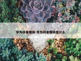 华为抖音模块 华为抖音模块是什么