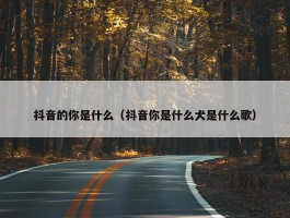 抖音的你是什么（抖音你是什么犬是什么歌）