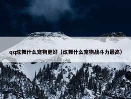 qq炫舞什么宠物更好（炫舞什么宠物战斗力最高）