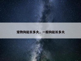 宠物狗能长多大，一般狗能长多大