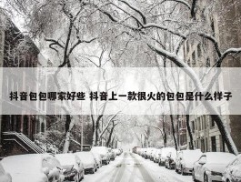 抖音包包哪家好些 抖音上一款很火的包包是什么样子