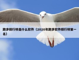 跑步排行榜是什么软件（2020年跑步软件排行榜第一名）