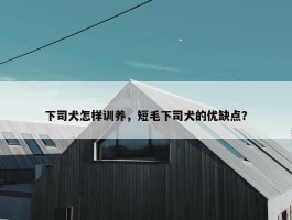 下司犬怎样训养，短毛下司犬的优缺点？