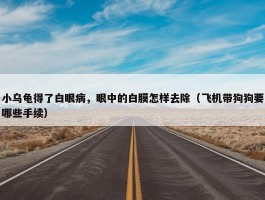 小乌龟得了白眼病，眼中的白膜怎样去除（飞机带狗狗要哪些手续）