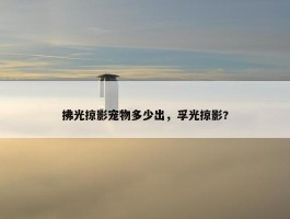 拂光掠影宠物多少出，孚光掠影?