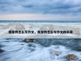 我宠物怎么写作文，我宠物怎么写作文四年级