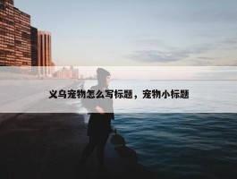 义乌宠物怎么写标题，宠物小标题