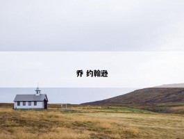 乔 约翰逊