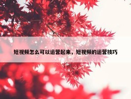 短视频怎么可以运营起来，短视频的运营技巧