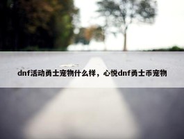 dnf活动勇士宠物什么样，心悦dnf勇士币宠物