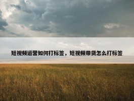 短视频运营如何打标签，短视频带货怎么打标签