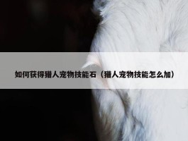 如何获得猎人宠物技能石（猎人宠物技能怎么加）