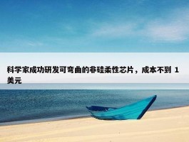 科学家成功研发可弯曲的非硅柔性芯片，成本不到 1 美元