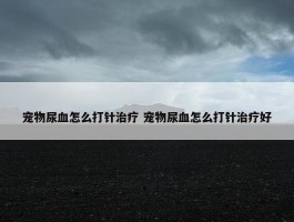 宠物尿血怎么打针治疗 宠物尿血怎么打针治疗好