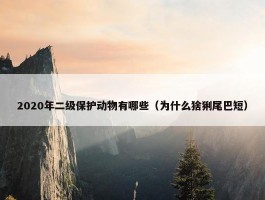 2020年二级保护动物有哪些（为什么猞猁尾巴短）