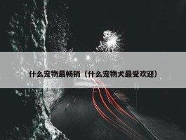 什么宠物最畅销（什么宠物犬最受欢迎）