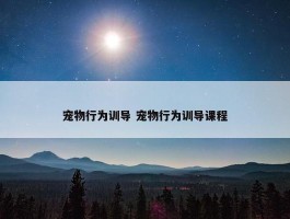 宠物行为训导 宠物行为训导课程