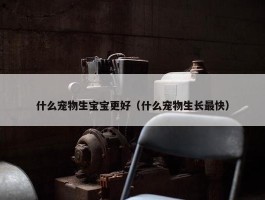 什么宠物生宝宝更好（什么宠物生长最快）