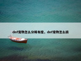 dnf宠物怎么分稀有度，dnf宠物怎么搞