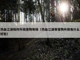 热血江湖如何升级宠物等级（热血江湖带宠物升级有什么好处）