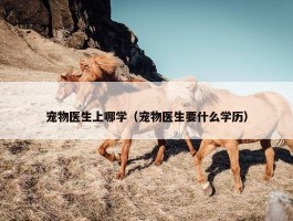 宠物医生上哪学（宠物医生要什么学历）