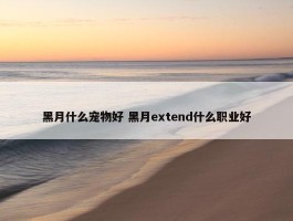 黑月什么宠物好 黑月extend什么职业好