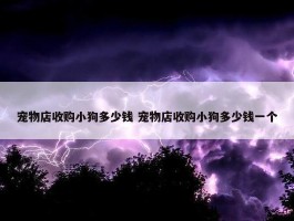 宠物店收购小狗多少钱 宠物店收购小狗多少钱一个