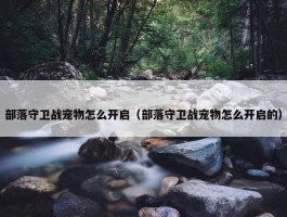 部落守卫战宠物怎么开启（部落守卫战宠物怎么开启的）