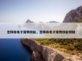 怎样练电子宠物技能，怎样练电子宠物技能视频