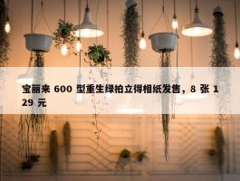 宝丽来 600 型重生绿拍立得相纸发售，8 张 129 元