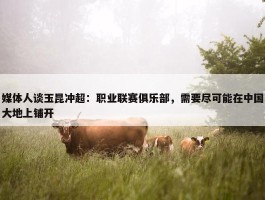 媒体人谈玉昆冲超：职业联赛俱乐部，需要尽可能在中国大地上铺开