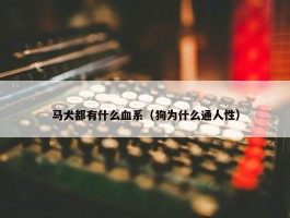 马犬都有什么血系（狗为什么通人性）