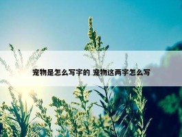 宠物是怎么写字的 宠物这两字怎么写