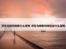 浮生刘禅刘禅用什么宠物 浮生为卿歌刘禅适合什么宠物