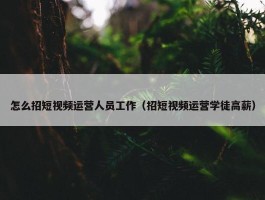 怎么招短视频运营人员工作（招短视频运营学徒高薪）