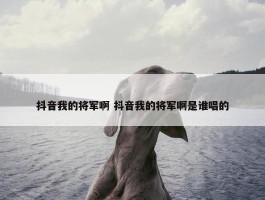 抖音我的将军啊 抖音我的将军啊是谁唱的